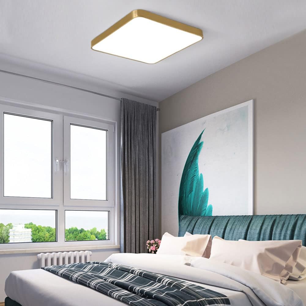 Chic Gold Iron LED Bedroom Ceiling Lights