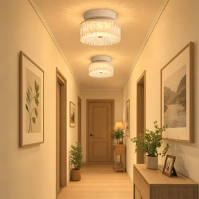 Modern Iron Matte Dimmable LED Ceiling Lights for Bedroom