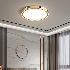 LED Modern Luxury Simple Ceiling Lights