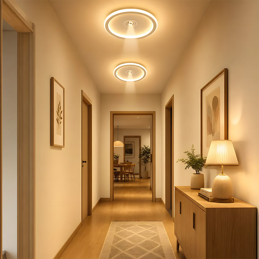 Modern Angle Adjustable Acrylic Iron LED Ceiling Lights for Living Room