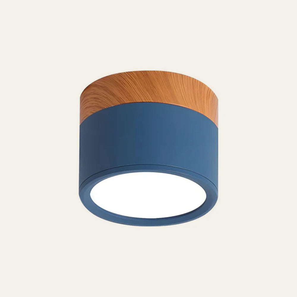 Cylinder Small Flush Ceiling Lights