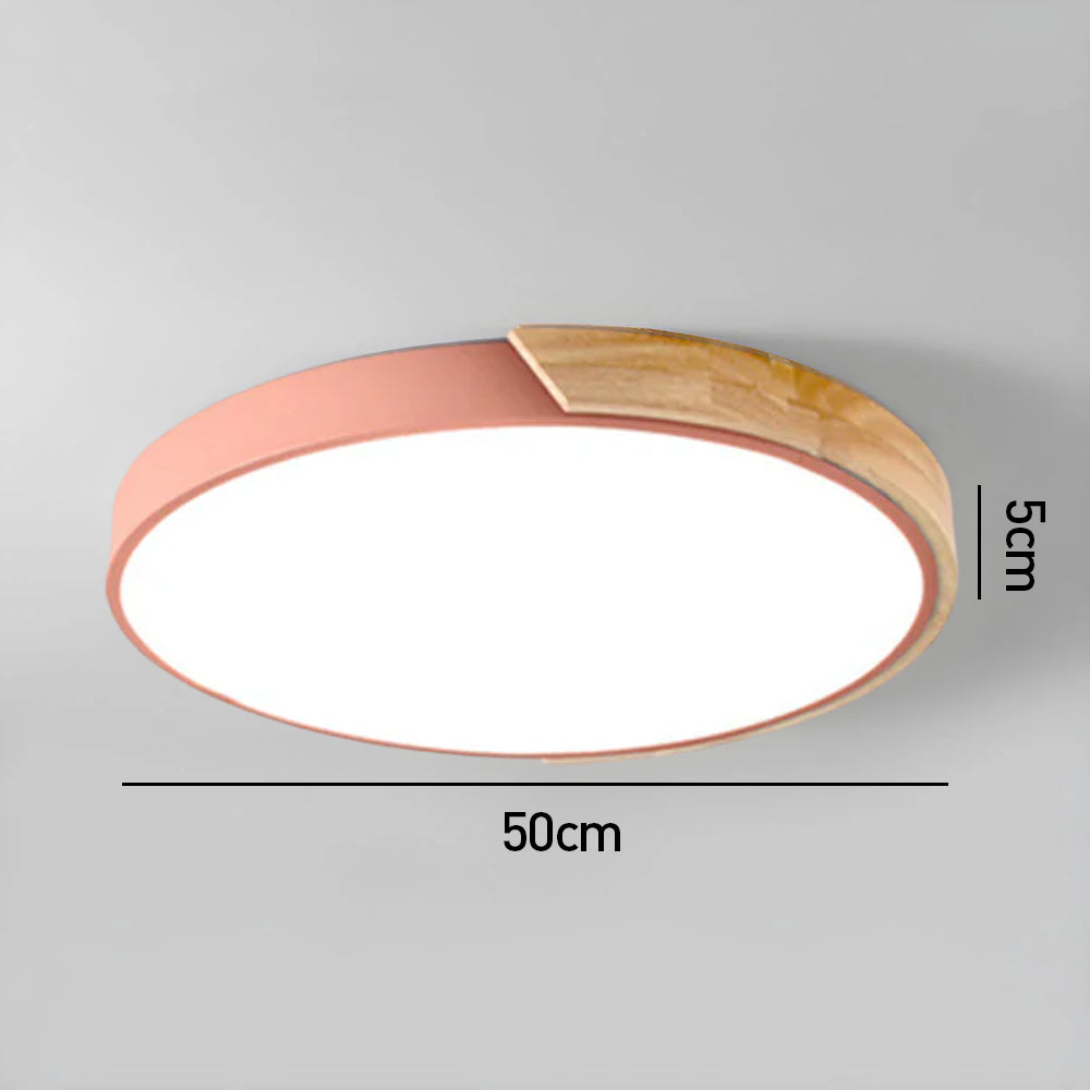Modern Minimalist Round Flush LED Ceiling Lights