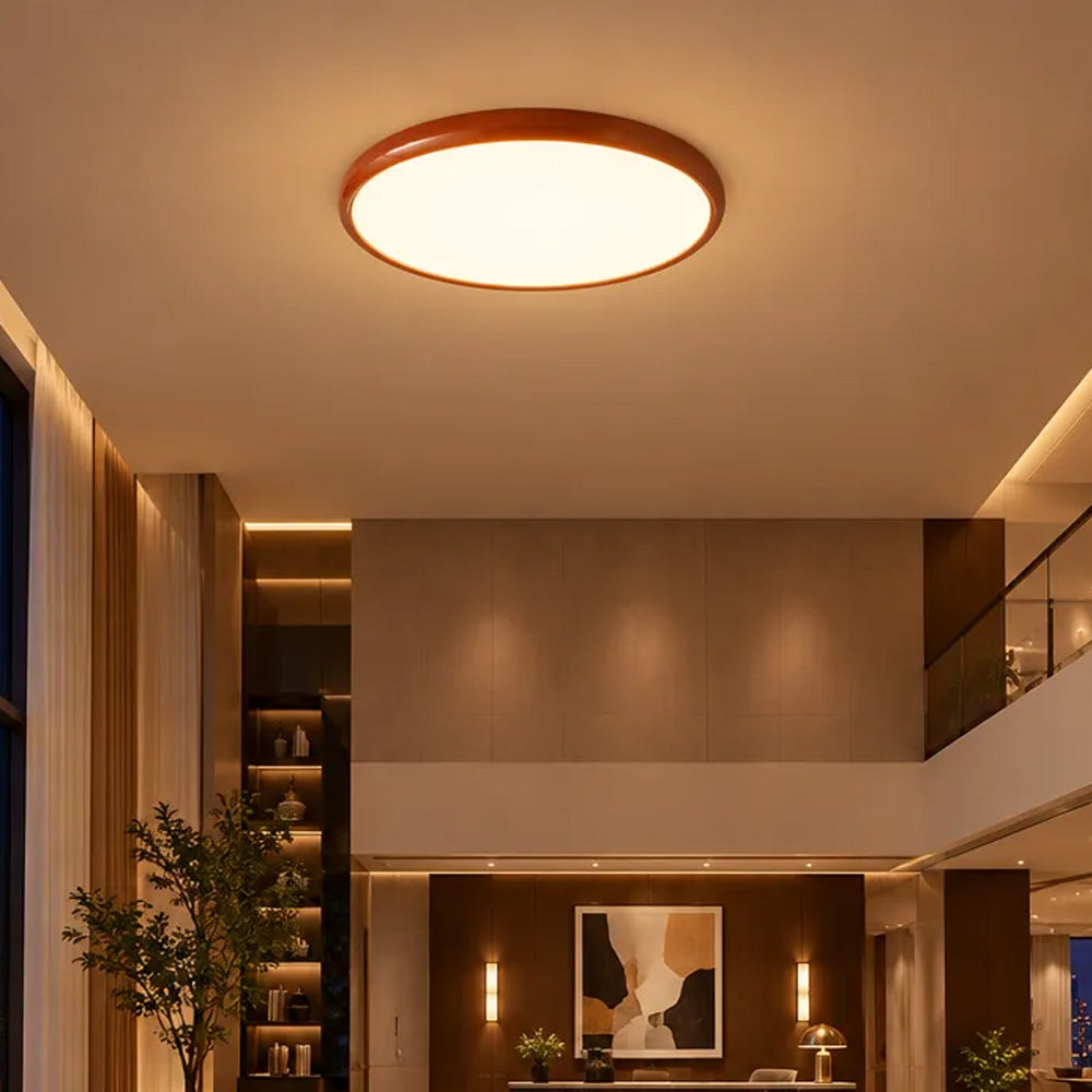 Modern Minimalism Acrylic LED Ceiling Lights for Bedroom