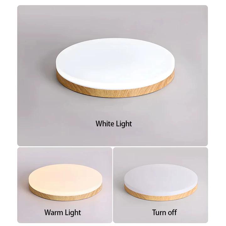Modern Round LED Flush Ceiling Lights For Bedroom Living Room