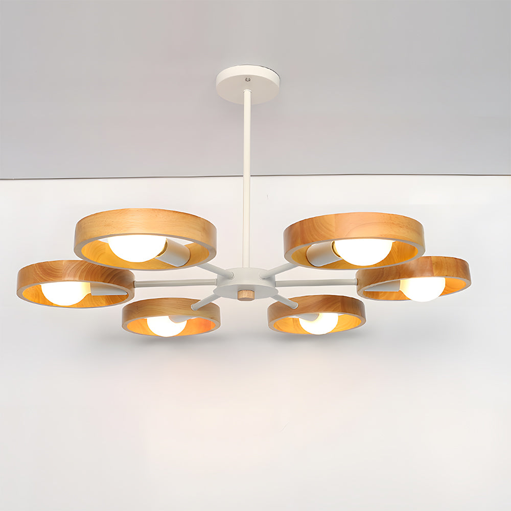 Modern Eco-friendly Ceiling Lamp For Living Room