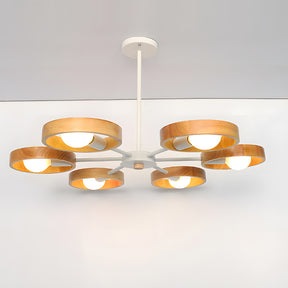 Modern Eco-friendly Ceiling Lamp For Living Room