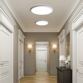 Contemporary Minimalist White LED Ceiling Light For Living Room