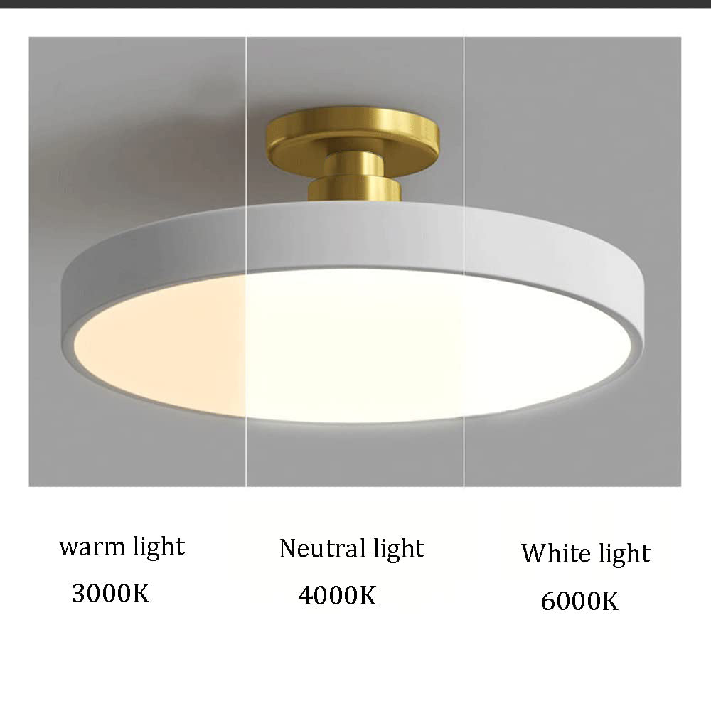 Modern Concise Circular LED Semi Flush Mount Ceiling Light