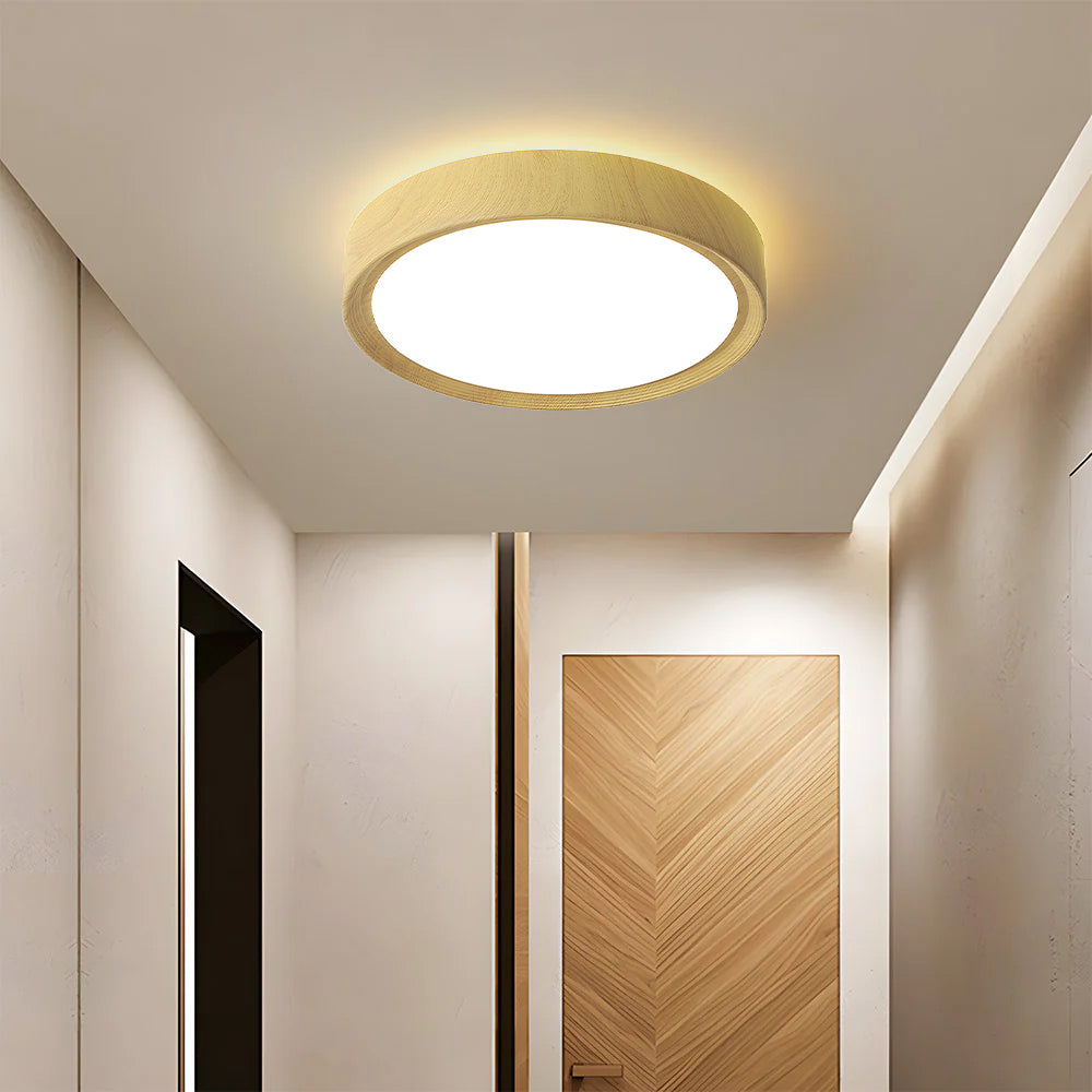 Modern Minimalist Round Wood Colour Iron LED Ceiling Lights