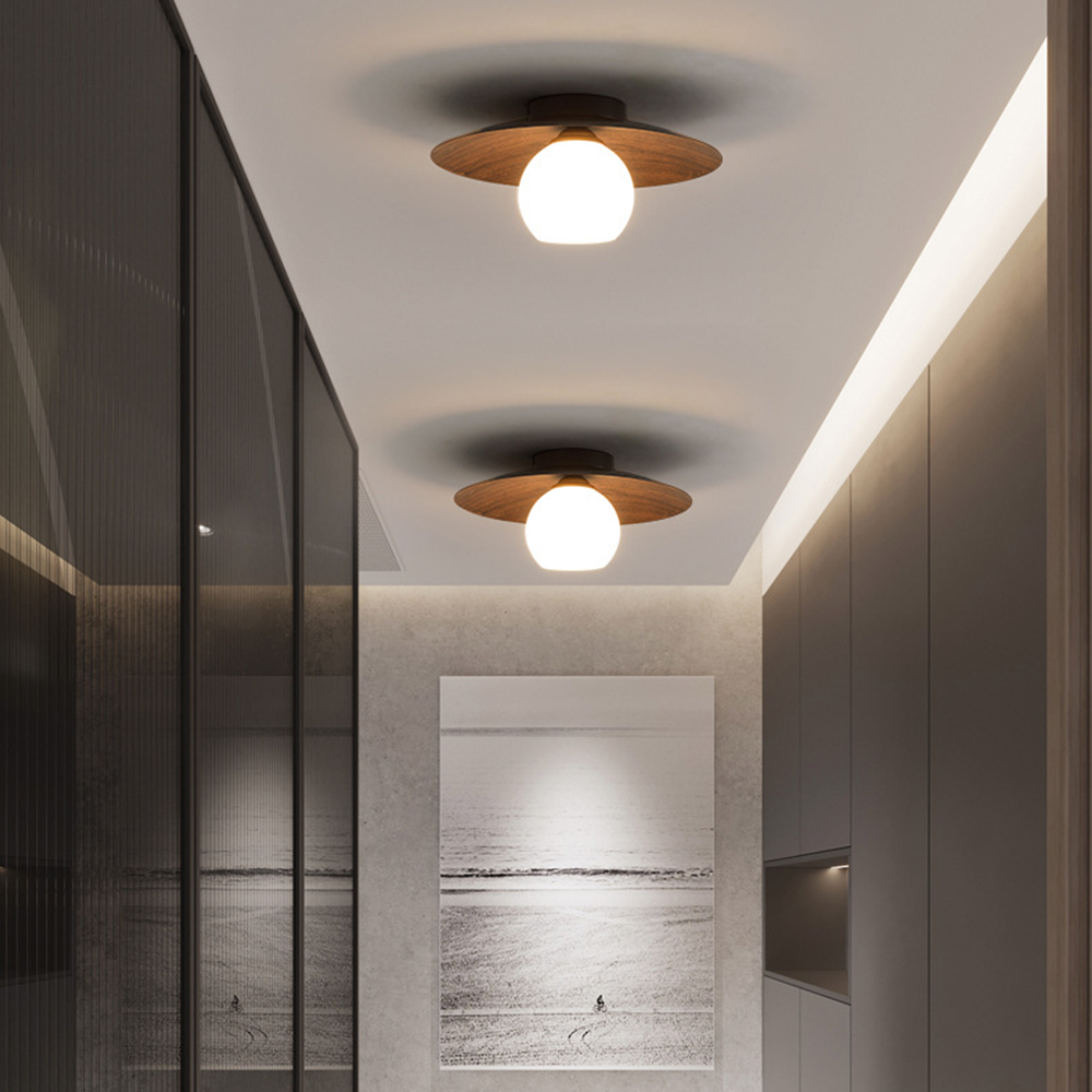 Modern Minimalist Entrance Ceiling Lights