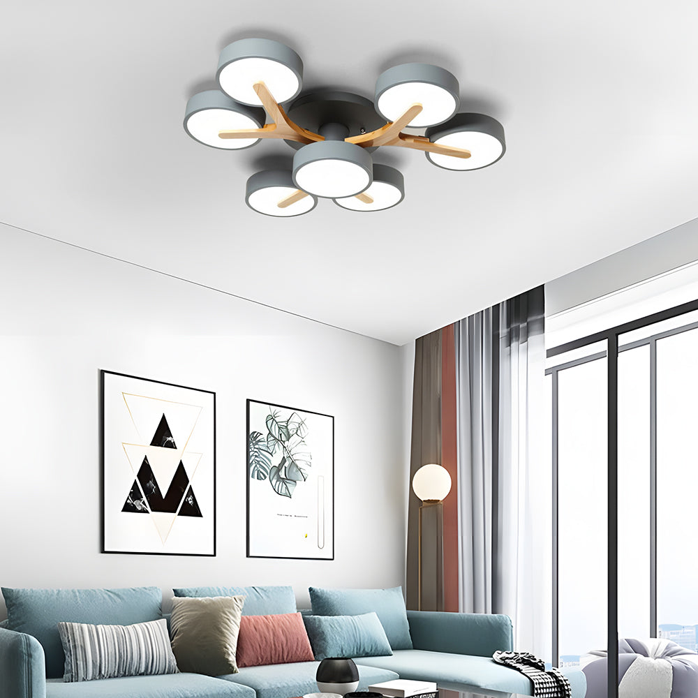 Contemporary Luxurious Acrylic Living Room LED Ceiling Lights