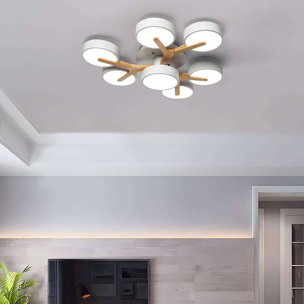 Contemporary Luxurious Acrylic Living Room LED Ceiling Lights