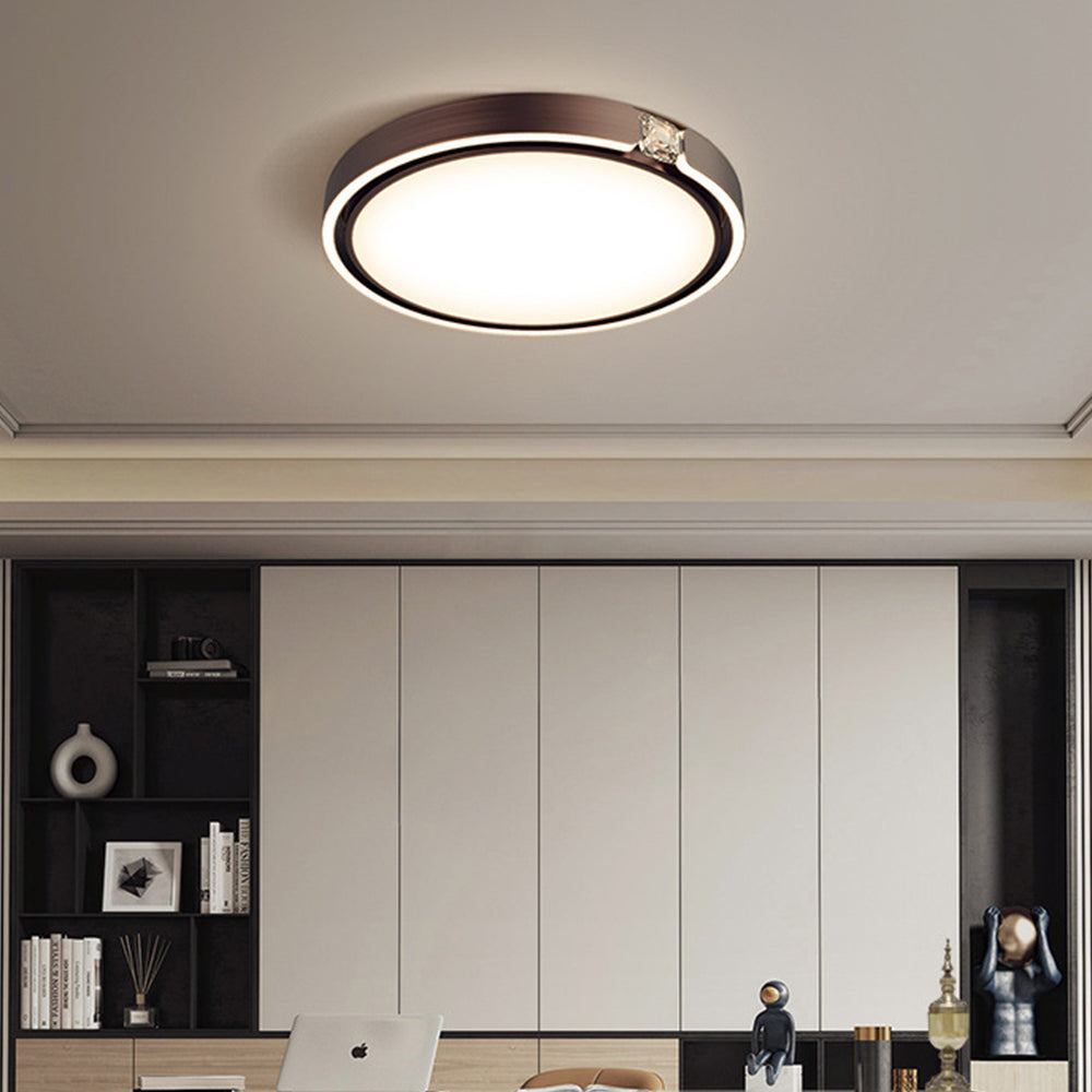 LED Modern Luxury Simple Ceiling Lights