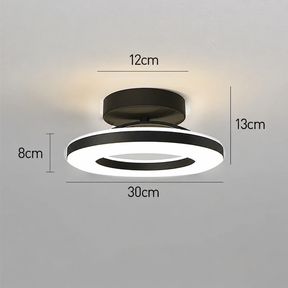 Semi-Flush Black Iron LED Ceiling Light for Hallway