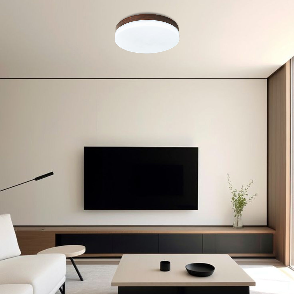 Modern Motion Sensor Smart LED Ceiling Lights For Living Room