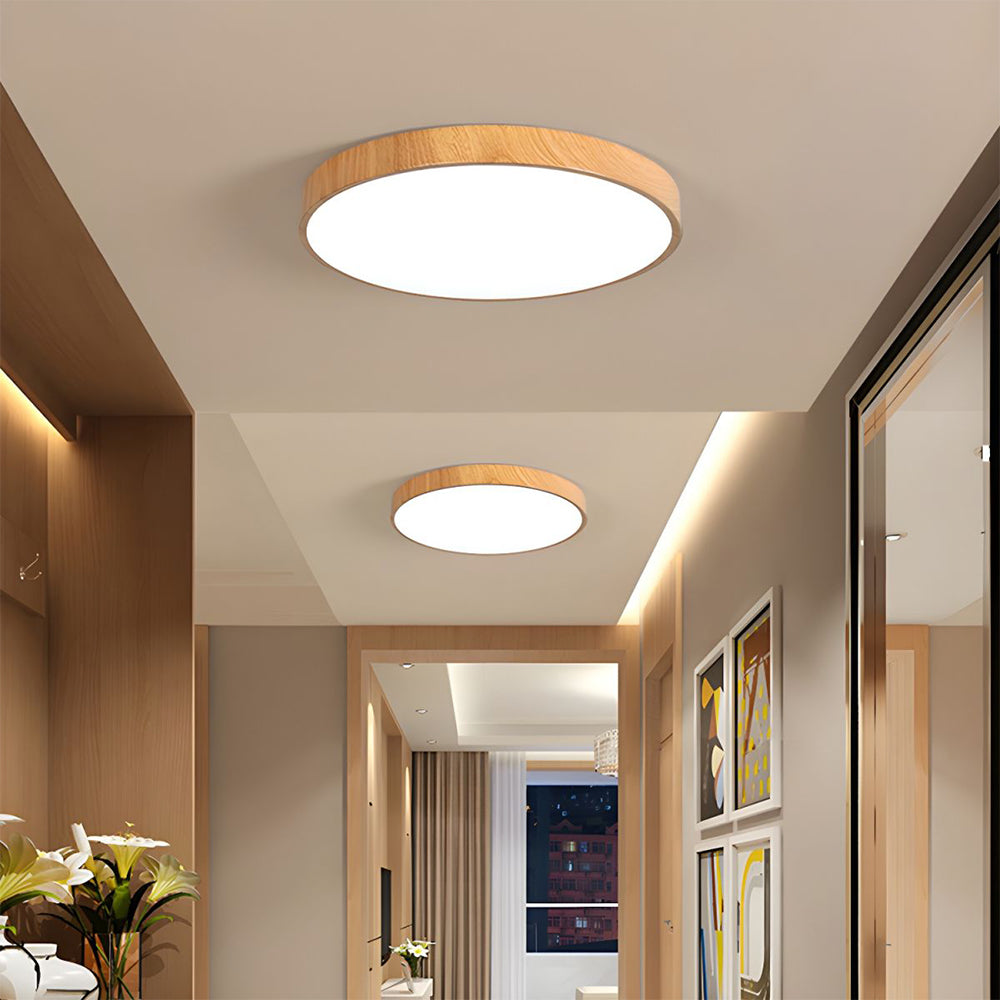 Modern Concise Style Wrought Iron Ceiling Light