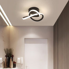 Led lights ceiling fixture for aisle entrance