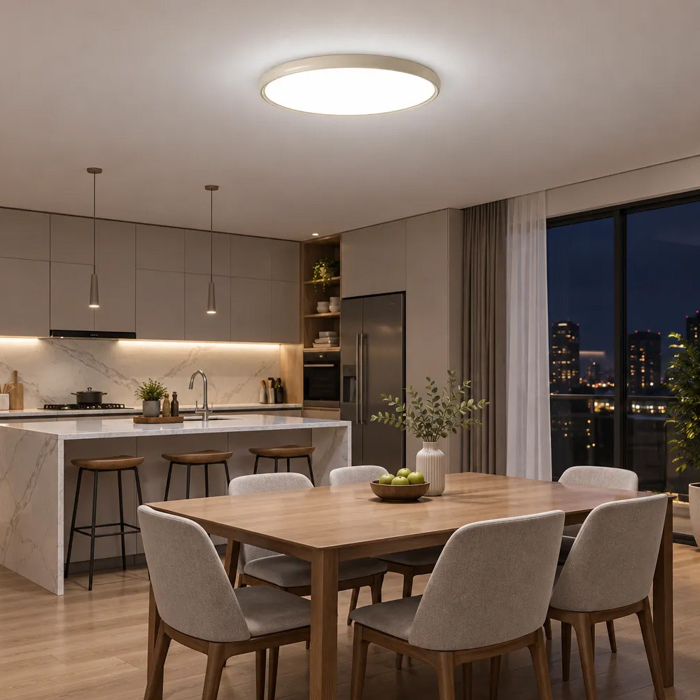 Modern Minimalism Acrylic LED Ceiling Lights for Bedroom