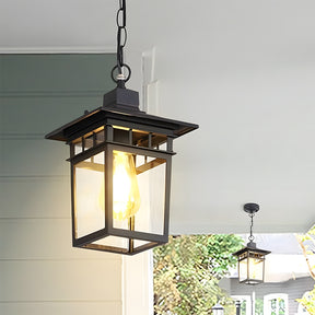 IP65 Vintage Outdoor Ceiling Lights in Black