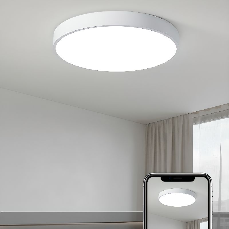 Set of 2 Circular LED Bedroom Low Ceiling Light