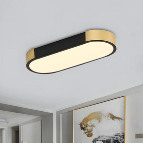 Modern Chic Iron Living Room Flush LED Ceiling Light