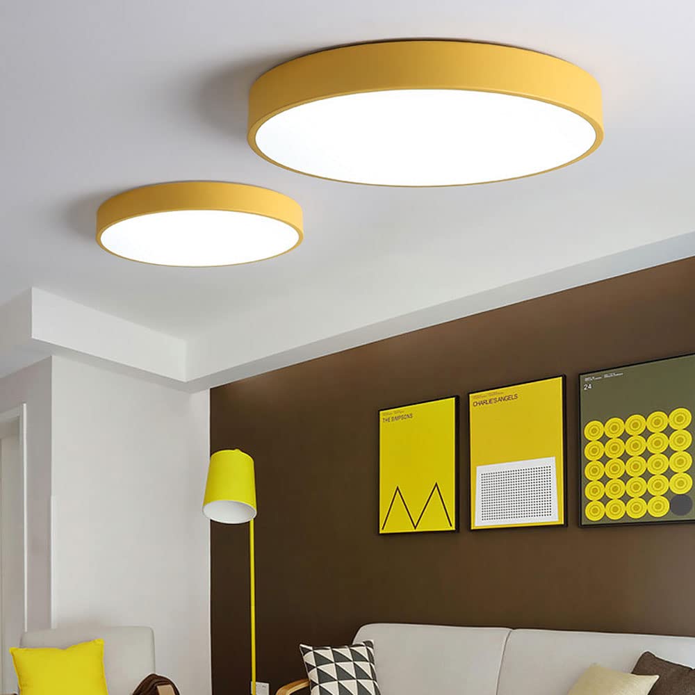 Circular Flush Mount LED Ceiling Lights