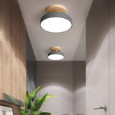 Colorful Semi-flush LED Ceiling Lights
