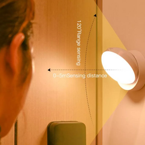 Contemporary Motion Sensor Light