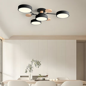 Modern Circular Living Room LED Ceiling Light