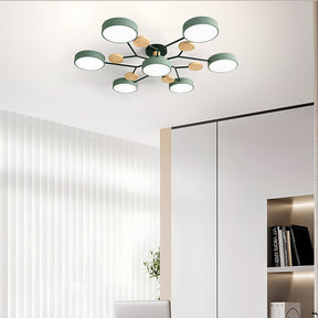 Modern Circular Living Room LED Ceiling Light