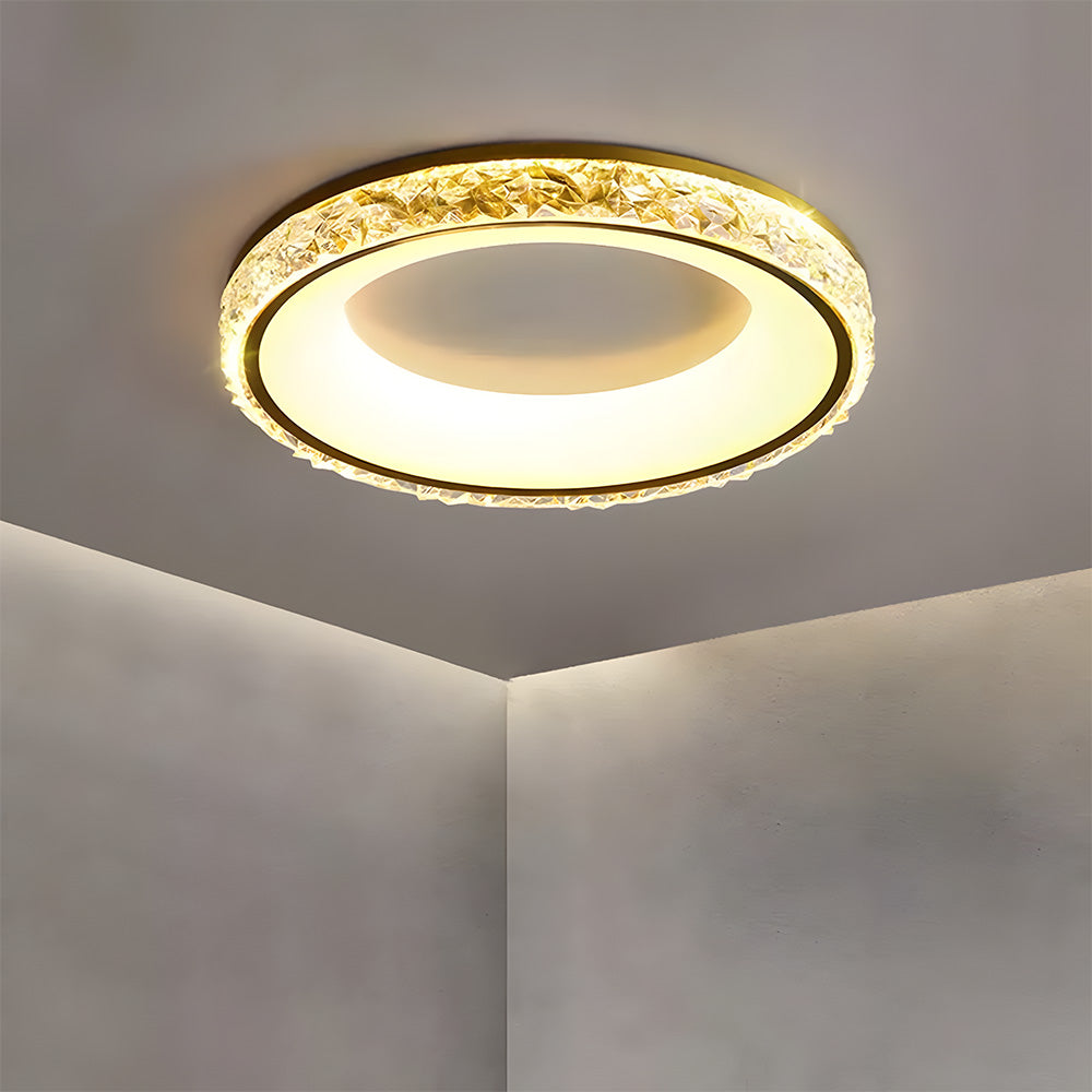 Modern Iron Dimmable LED Living Room Ceiling Lights