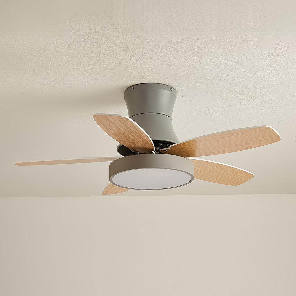 Acrylic Minimalism LED Bedroom Ceiling Fan With Light