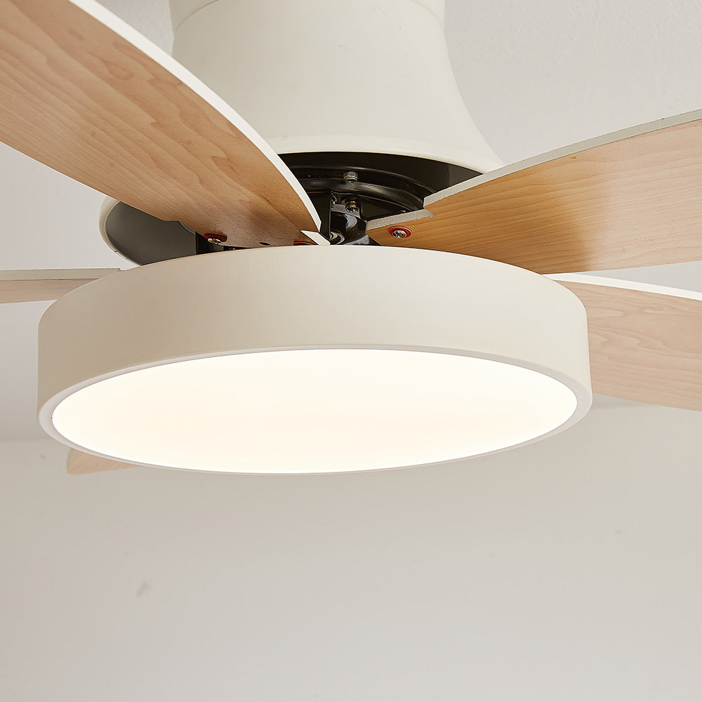 Acrylic Minimalism LED Bedroom Ceiling Fan With Light