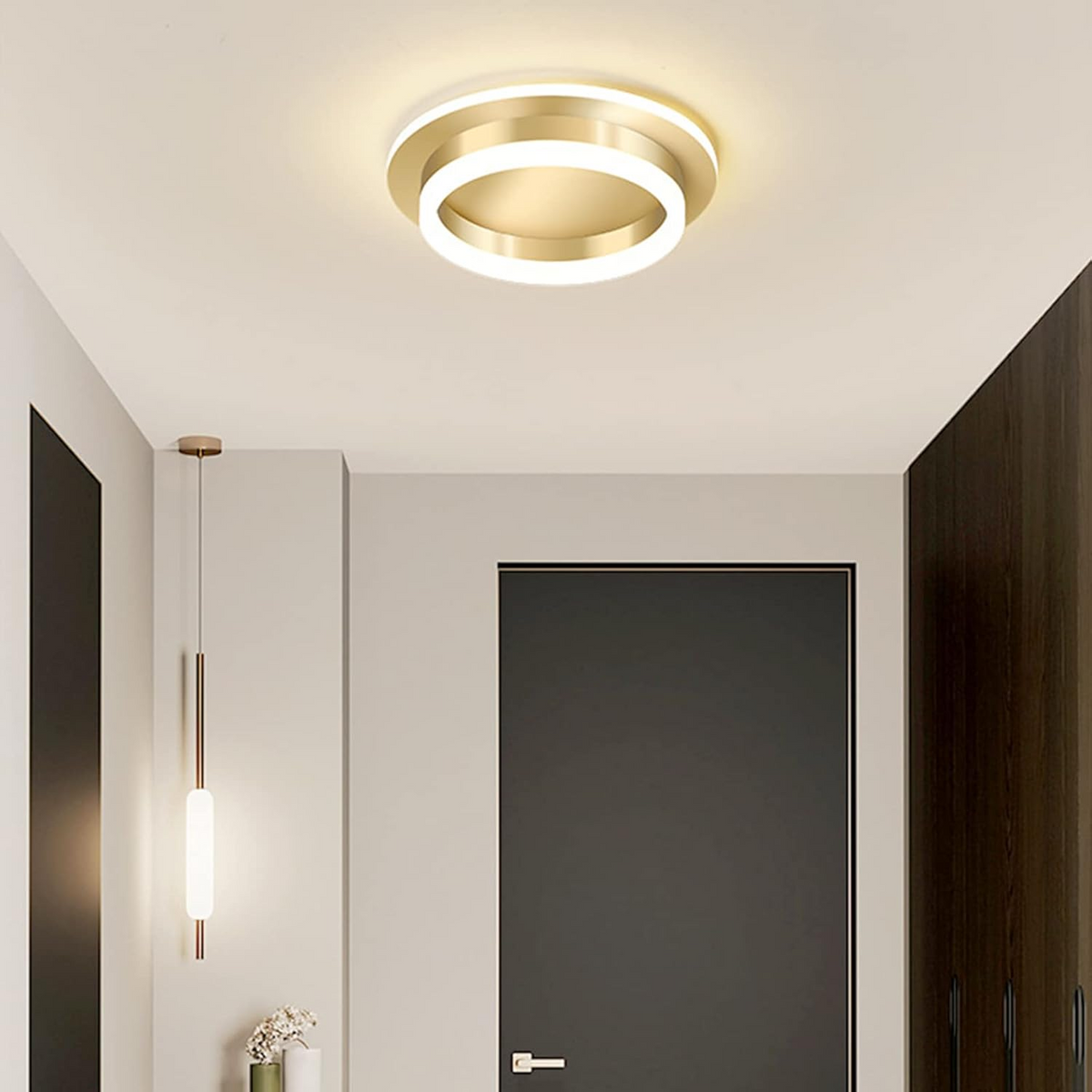 Simple Modern Acrylic Ceiling Lamp for Hallway