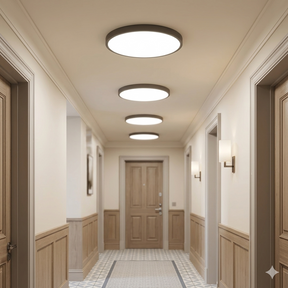 Modern Black Led Ultra-thin Close to Ceiling Lighting