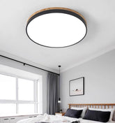 Living Room LED Ceiling Lights