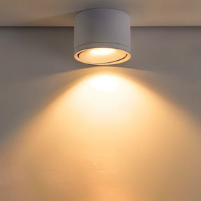 Minimalist Aluminum LED Ceiling Downlights For Hallway