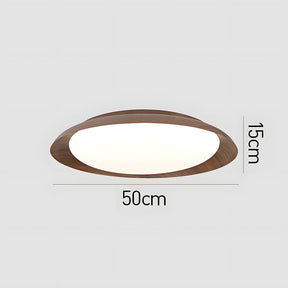 Minimalist Iron Bedroom LED Ceiling Light