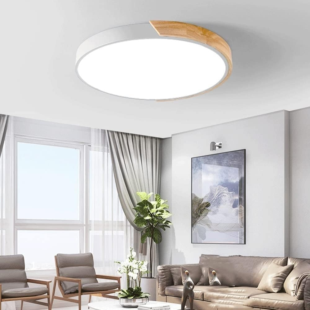 Modern Minimalist Round Flush LED Ceiling Lights