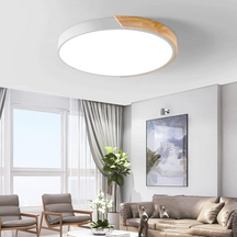 Modern Minimalist Round Flush LED Ceiling Lights