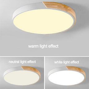Modern Minimalist Round Flush LED Ceiling Lights
