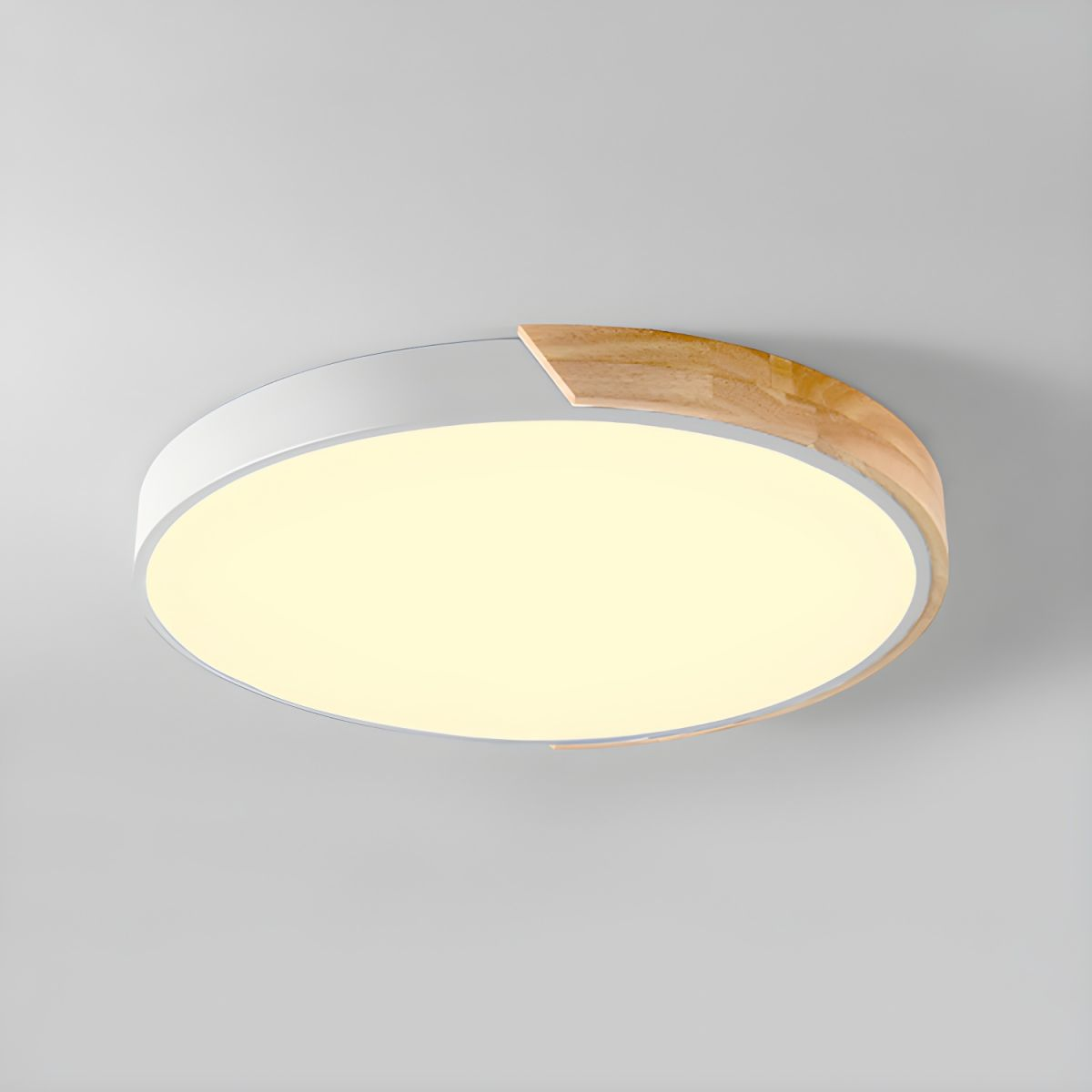Modern Minimalist Round Flush LED Ceiling Lights