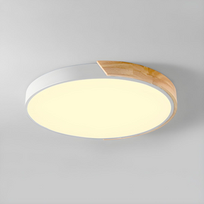 Modern Minimalist Round Flush LED Ceiling Lights