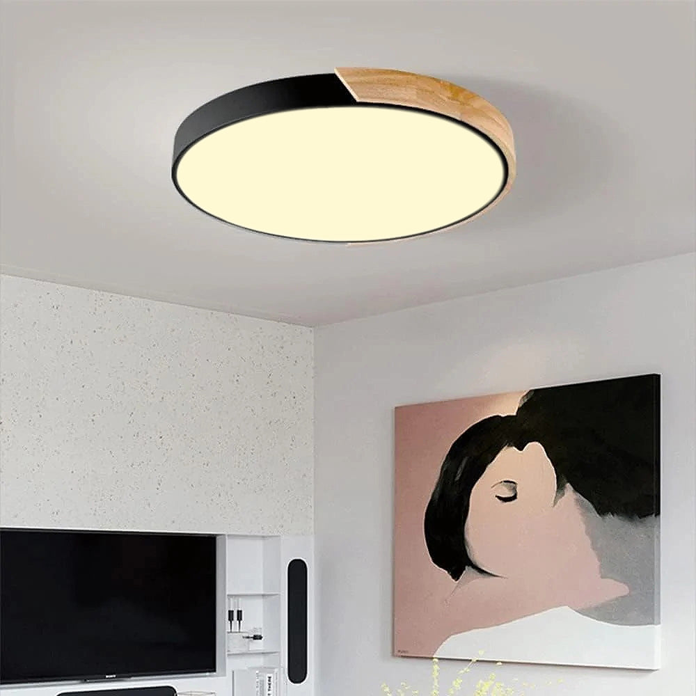 Modern Minimalist Round Flush LED Ceiling Lights