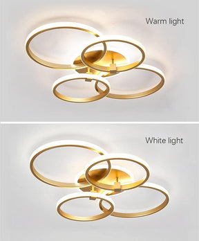 Multi-head Living Room LED Ceiling Lights