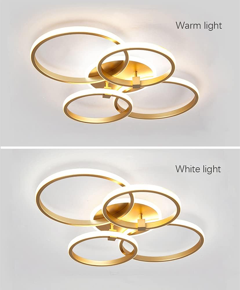 Multi-head Living Room LED Ceiling Lights