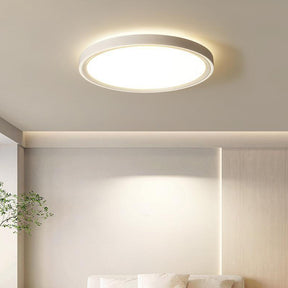 Modern Minimalist Nordic Iron Living Room LED Ceiling Light