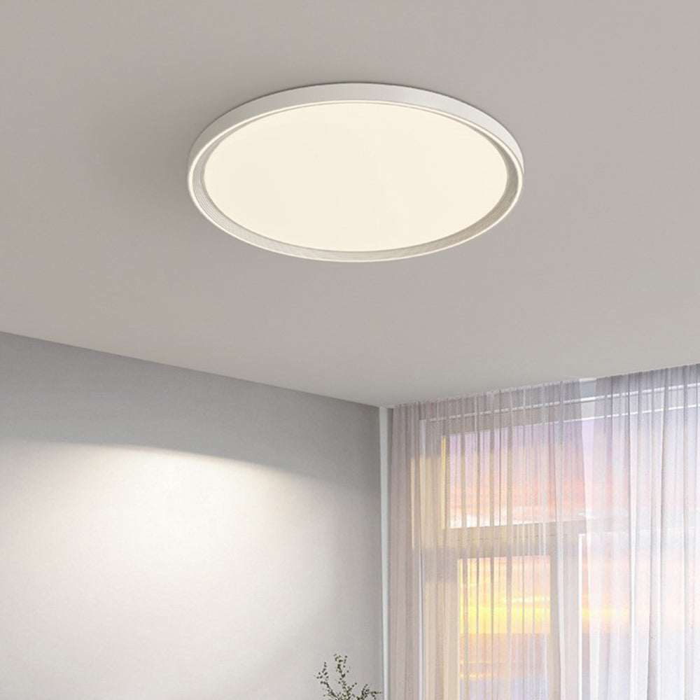 Modern Minimalist Nordic Iron Living Room LED Ceiling Light