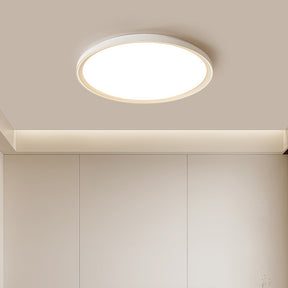 Modern Minimalist Nordic Iron Living Room LED Ceiling Light