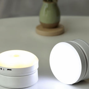 Contemporary Motion Sensor Light